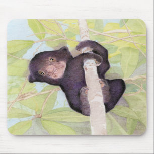 Sol Bear Unge Mousepad Musmatta