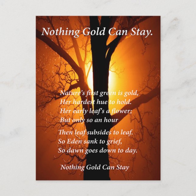 Sol Behind Vykort (Framsida)