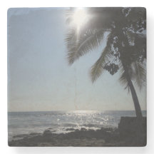 Sol belysta Handflatan Träd