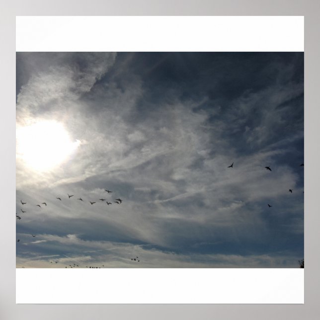 sol blekt poster (Framsidan)