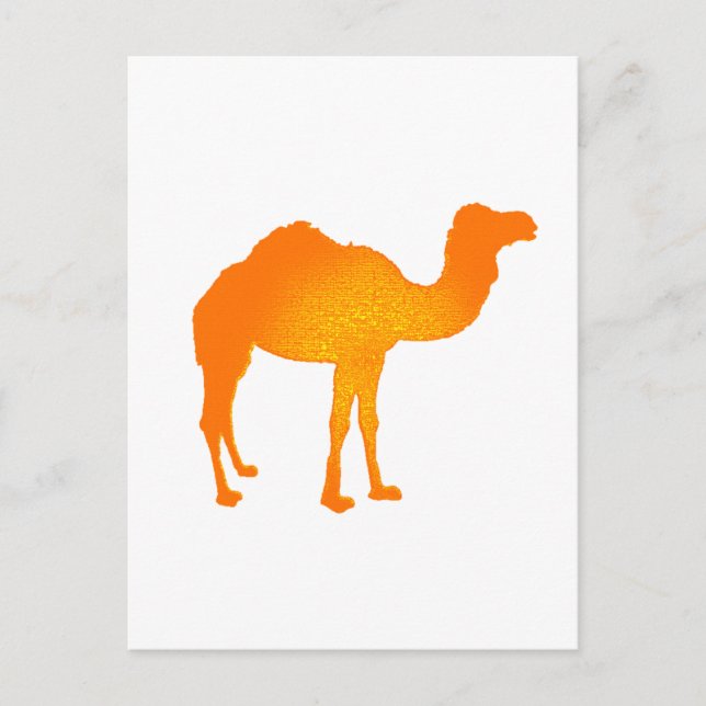 Sol Camel Vykort (Framsida)