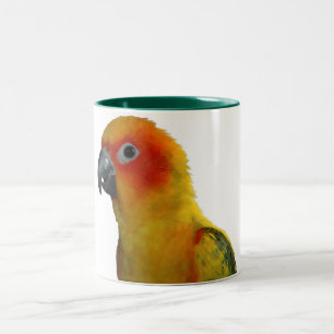 Sol Conure 15 uns mugg