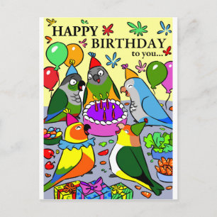 sol conure gcc quaker caique senegal papegoja glad vykort