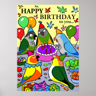 sol conure gcc quaker caique senegal parrot lyckli poster