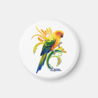 Sol Conure Magnet
