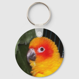 Sol Conure Nyckelring