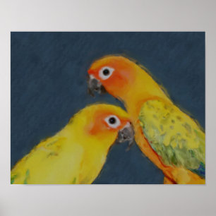 Sol Conure Parrot Pair Bird Art Poster