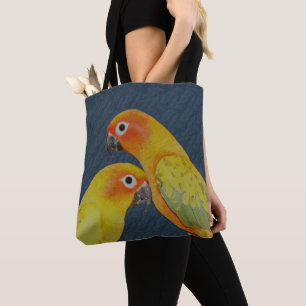 Sol Conure Parrot Pair Tygkasse