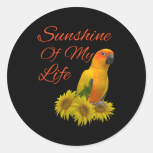 Sol Conure Parrot Sunshine Runt Klistermärke
