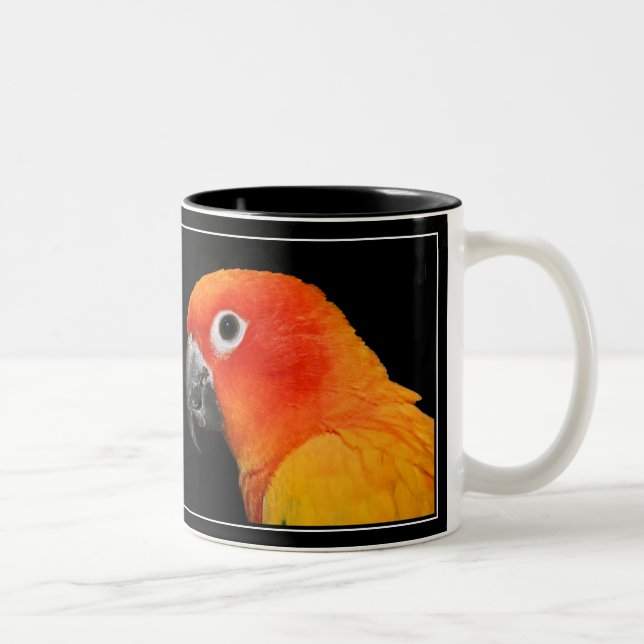 Sol Conure Två-Tonad Mugg (Höger)