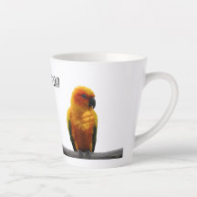 Sol Conure Wildlife Art Personlig Namn Animal