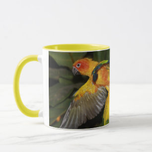Sol Conures Mugg