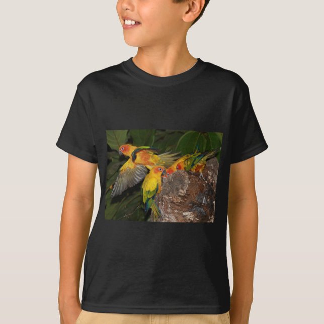 Sol Conures T-shirt (Framsida)