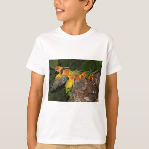 Sol Conures T Shirt