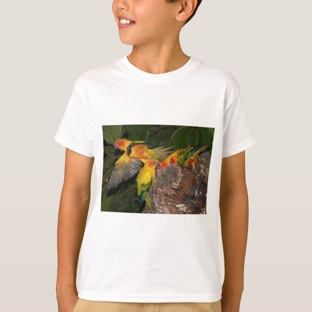 Sol Conures T Shirt (Framsida)