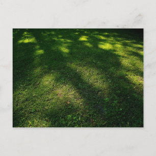 Sol Dappled Gräsmatta Vykort