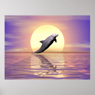 Sol Dolphin Poster