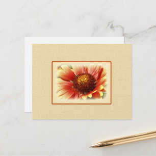 Sol Drenched Gaillardia Vykort