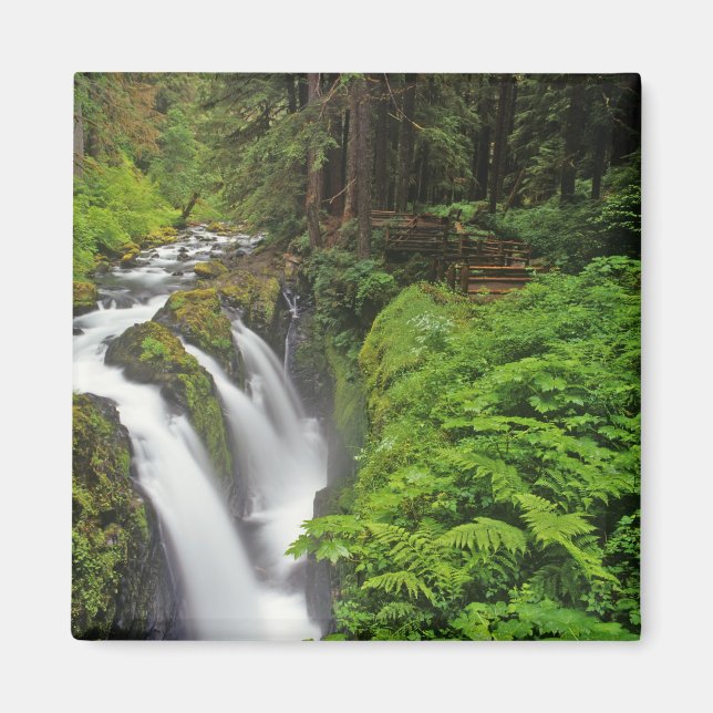 Sol Duc Falls i Olympic National Park i 2 Magnet (Framsidan)