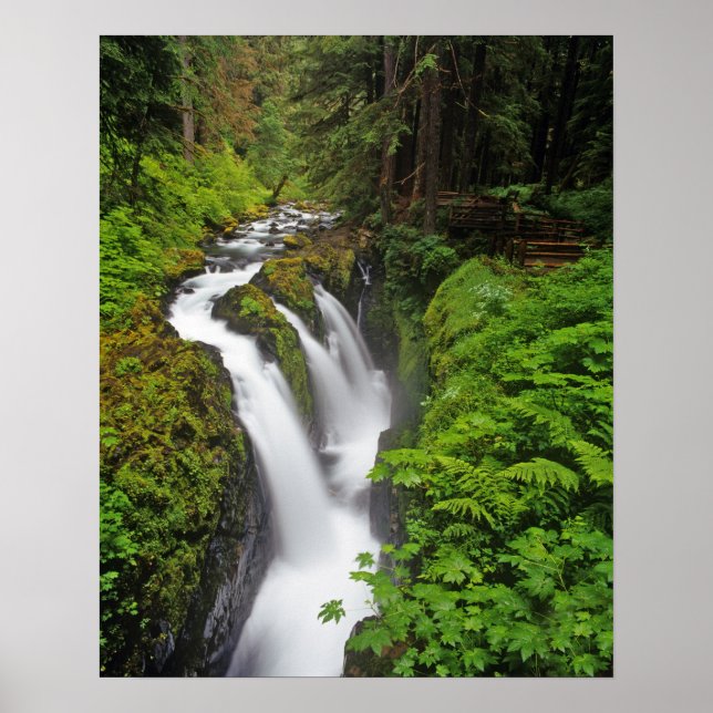 Sol Duc Falls i Olympic National Park i 2 Poster (Framsidan)