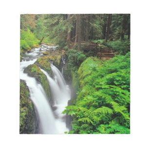 Sol Duc Falls i Olympic National Park i Anteckningsblock