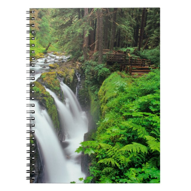Sol Duc Falls i Olympic National Park i Anteckningsbok (Framsidan)