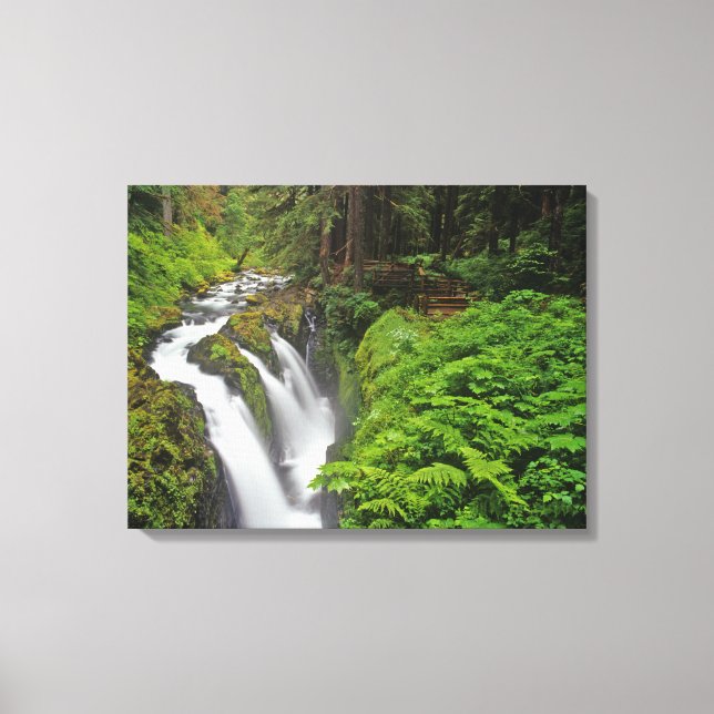 Sol Duc Falls i Olympic National Park i Canvastryck (Framsida)