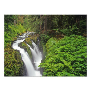 Sol Duc Falls i Olympic National Park i Fototryck