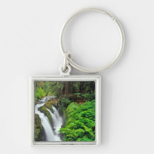 Sol Duc Falls i Olympic National Park i Fyrkantig Silverfärgad Nyckelring