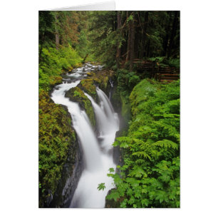 Sol Duc Falls i Olympic National Park i Hälsningskort