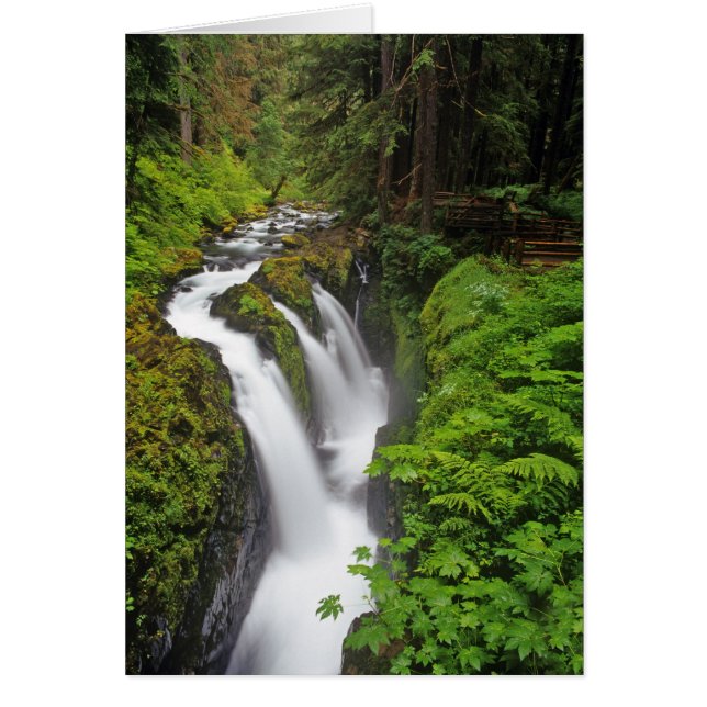 Sol Duc Falls i Olympic National Park i Hälsningskort (Framsidan)