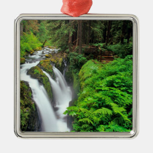 Sol Duc Falls i Olympic National Park i Julgransprydnad Metall