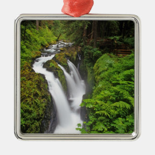Sol Duc Falls i Olympic National Park i Julgransprydnad Metall