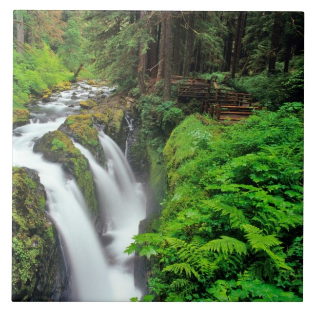 Sol Duc Falls i Olympic National Park i Kakelplatta (Framsidan)