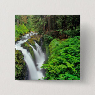 Sol Duc Falls i Olympic National Park i Knapp