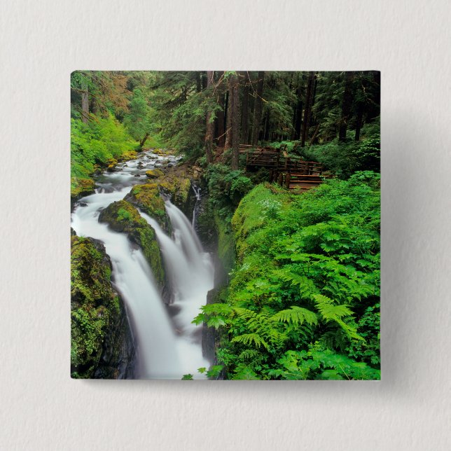 Sol Duc Falls i Olympic National Park i Knapp (Framsida)