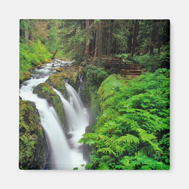 Sol Duc Falls i Olympic National Park i Magnet (Framsidan)