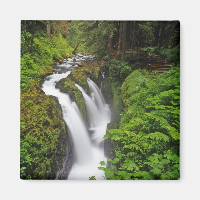 Sol Duc Falls i Olympic National Park i Magnet (Framsidan)