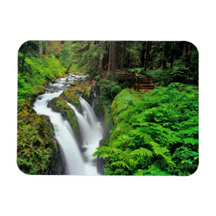 Sol Duc Falls i Olympic National Park i Magnet