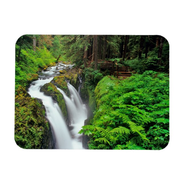 Sol Duc Falls i Olympic National Park i Magnet (Horisontell)