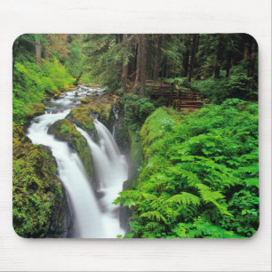Sol Duc Falls i Olympic National Park i Musmatta