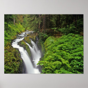 Sol Duc Falls i Olympic National Park i Poster