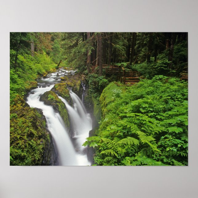 Sol Duc Falls i Olympic National Park i Poster (Framsidan)