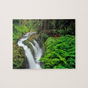 Sol Duc Falls i Olympic National Park i Pussel