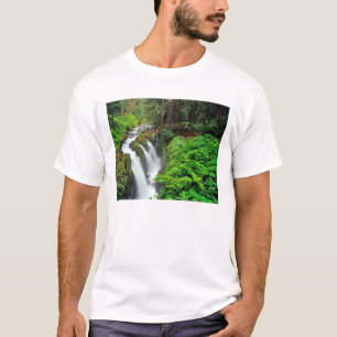 Sol Duc Falls i Olympic National Park i Tröja