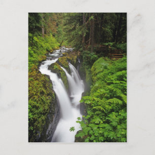 Sol Duc Falls i Olympic National Park i Vykort