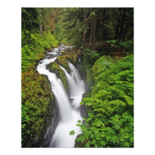 Sol Duc Falls i Olympic National Park om 2 Fototryck