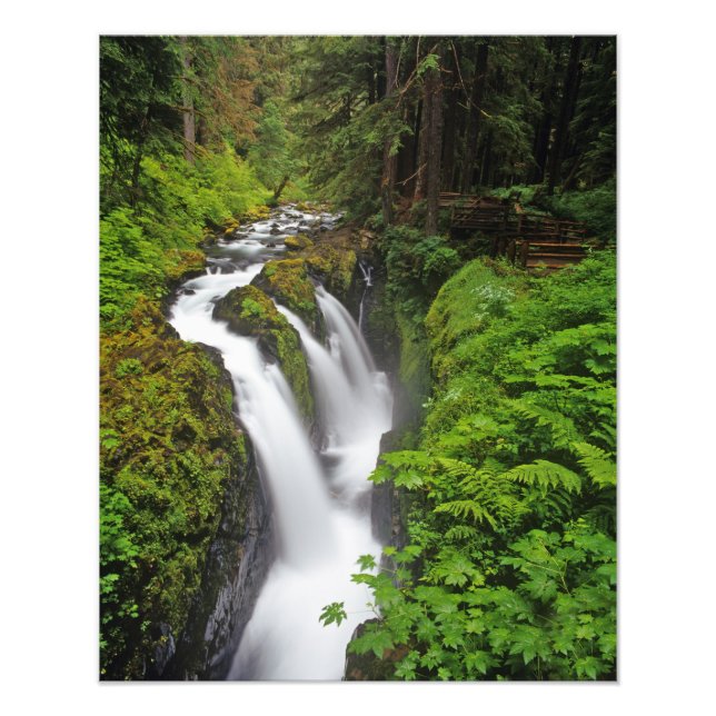 Sol Duc Falls i Olympic National Park om 2 Fototryck (Framsidan)