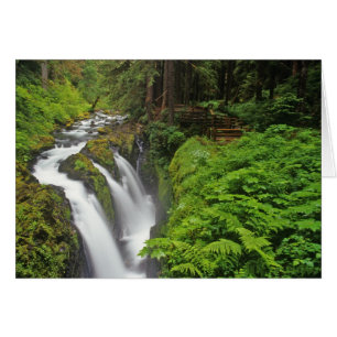 Sol Duc Falls i Olympic National Park om 2 Hälsningskort