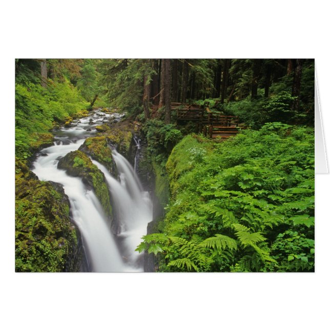 Sol Duc Falls i Olympic National Park om 2 Hälsningskort (Framsidan Horizontal)